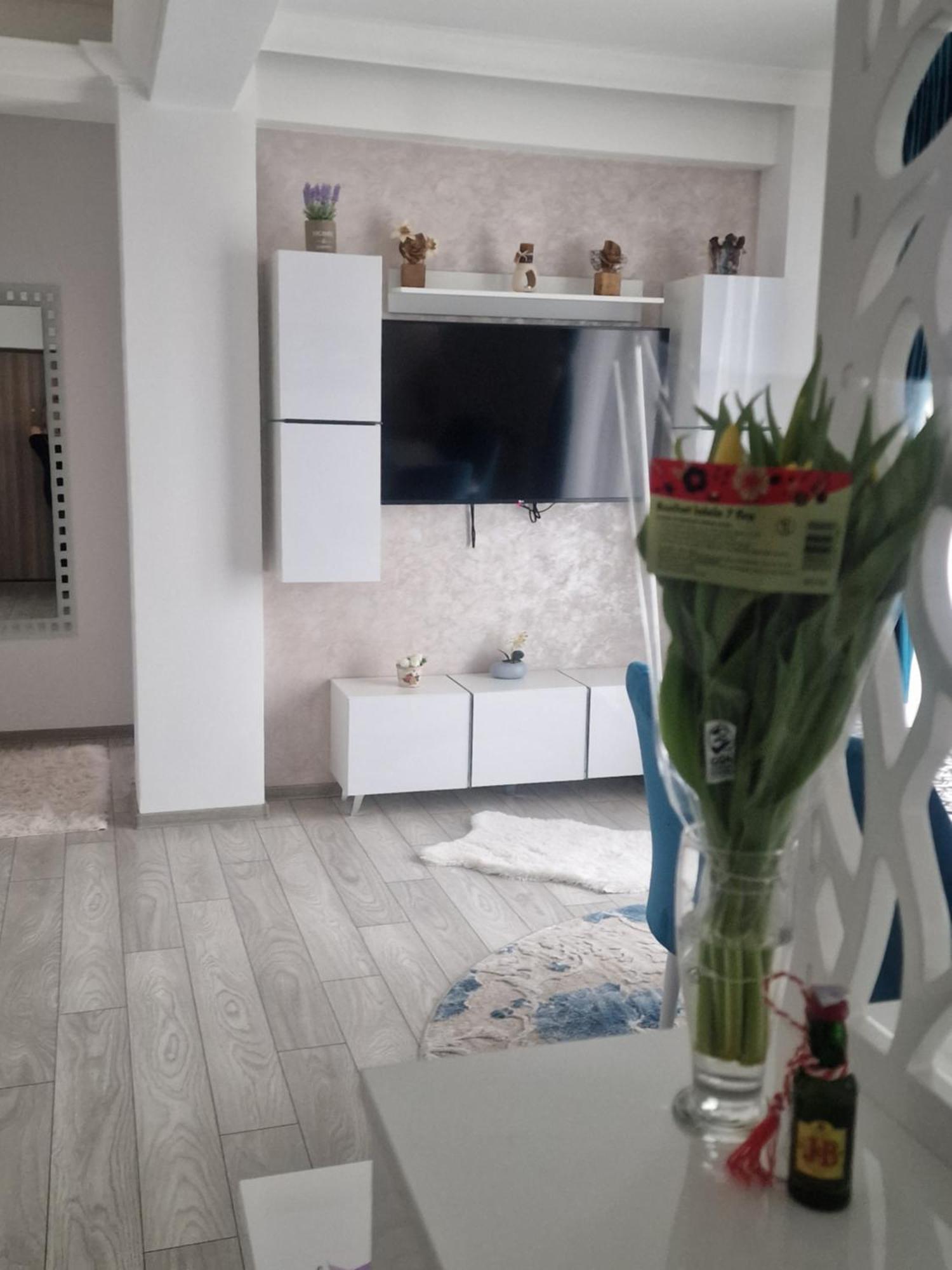Apartament Rezidential Sučava Exteriér fotografie